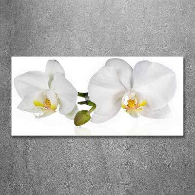 Foto glasbild Orchidee