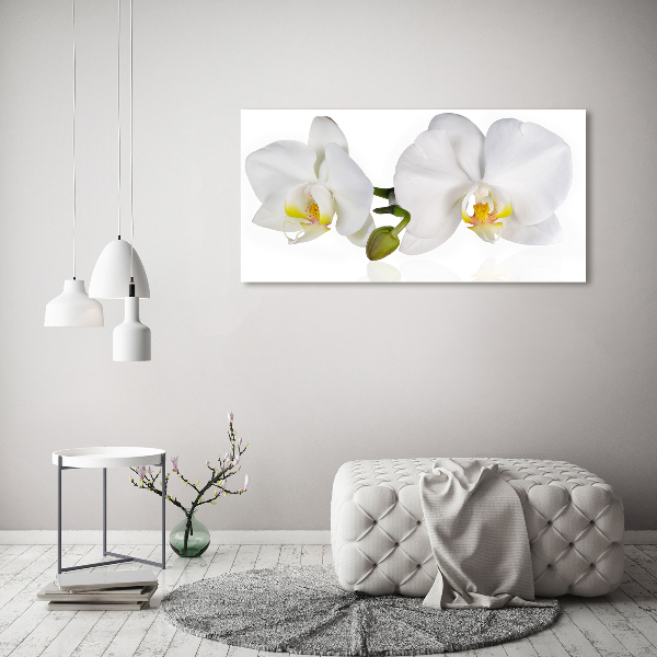 Foto glasbild Orchidee