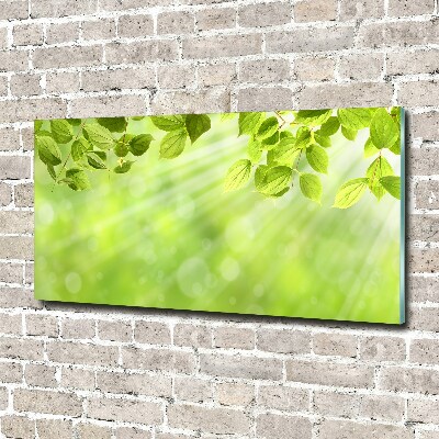 Glasbild Blätter