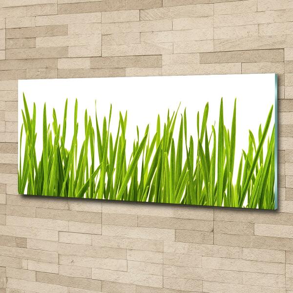 Glasbild Gras