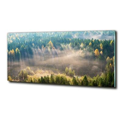 Bild auf glas Nebel im Wald