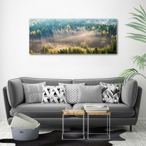 Bild auf glas Nebel im Wald