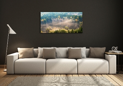 Bild auf glas Nebel im Wald