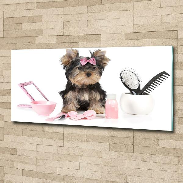 Foto glasbild Yorkshire Kosmetik