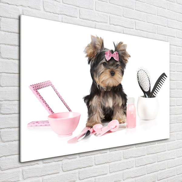 Foto glasbild Yorkshire Kosmetik