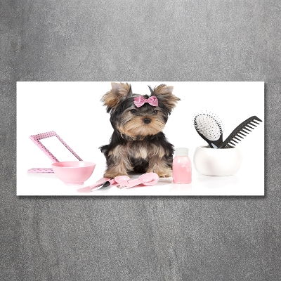 Foto glasbild Yorkshire Kosmetik