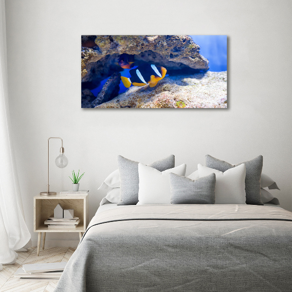 Glasbild Tropische Fische