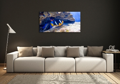 Glasbild Tropische Fische