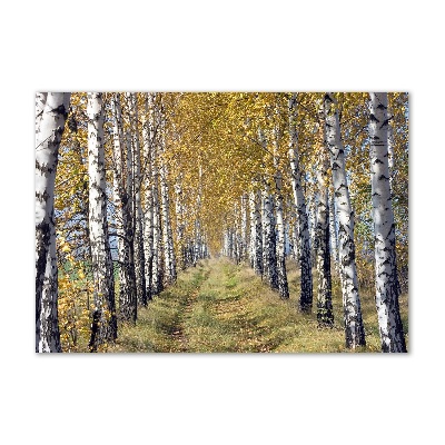 Foto glasbild Birken im Herbst