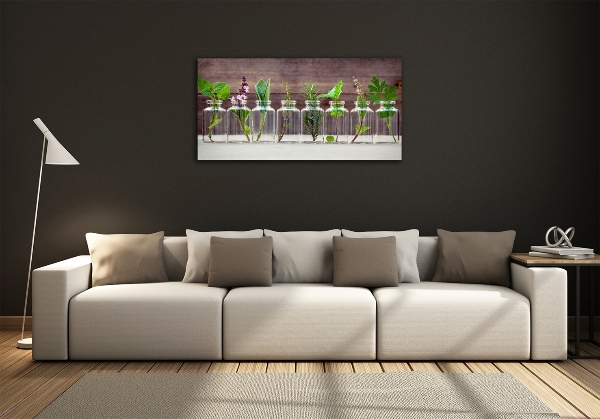 Bild auf glas Pflanzen in Gläsern