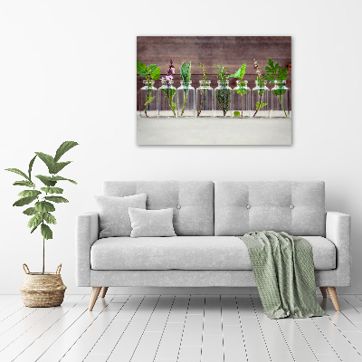 Bild auf glas Pflanzen in Gläsern