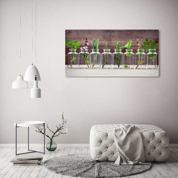 Bild auf glas Pflanzen in Gläsern