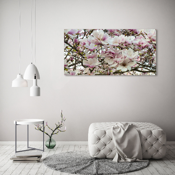 Glasbild Magnolienblüten