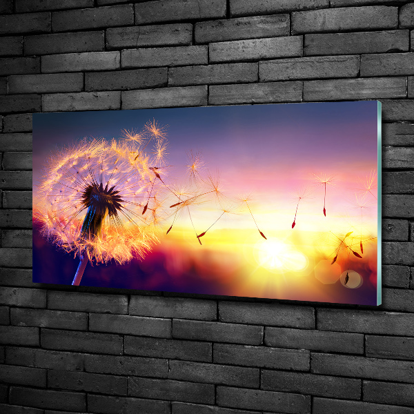 Foto glasbild Löwenzahn