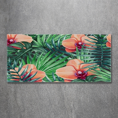 Bild auf glas Orchidee