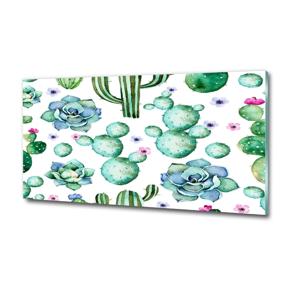 Bild auf glas Kakteen