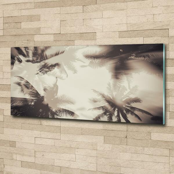 Glasbild Palmen