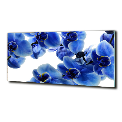Foto glasbild Blaue Orchidee