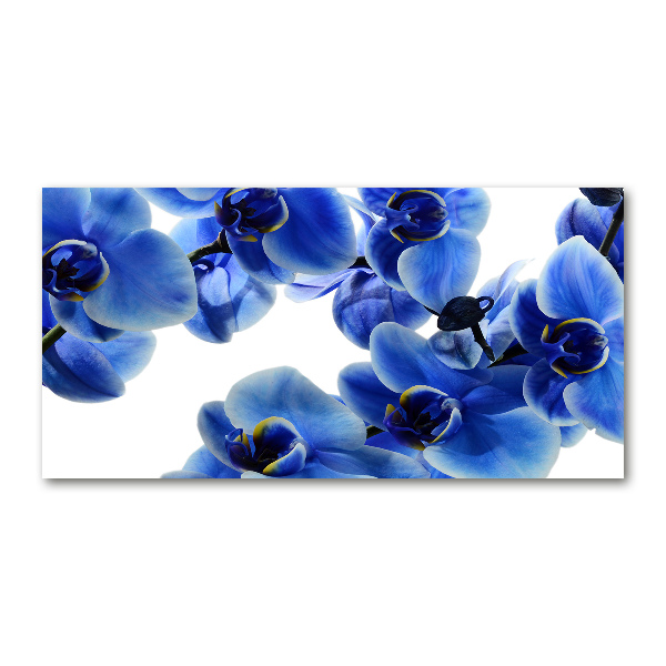 Foto glasbild Blaue Orchidee