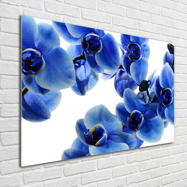 Foto glasbild Blaue Orchidee