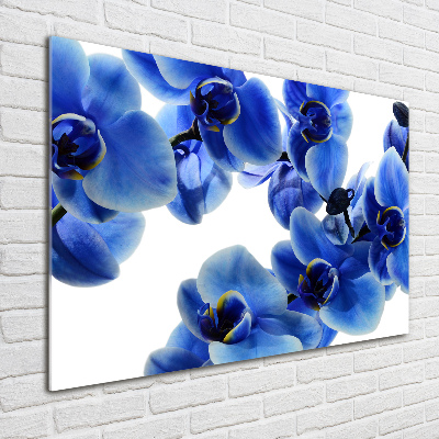 Foto glasbild Blaue Orchidee