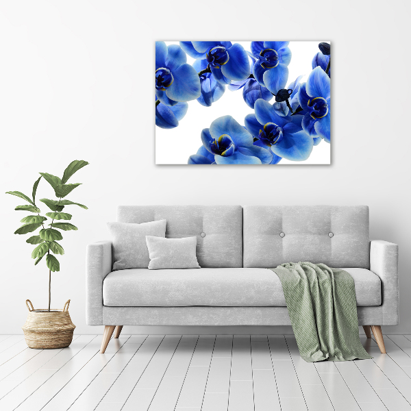 Foto glasbild Blaue Orchidee