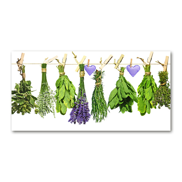 Glasbild Kräuter an einer Schnur