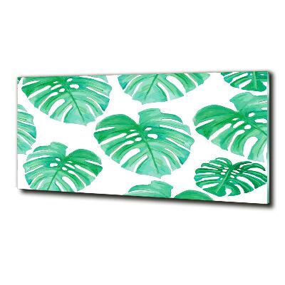 Glasbild Monstera