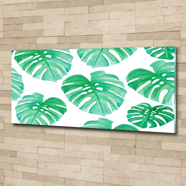 Glasbild Monstera