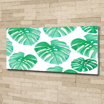 Glasbild Monstera