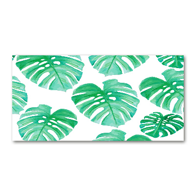 Glasbild Monstera
