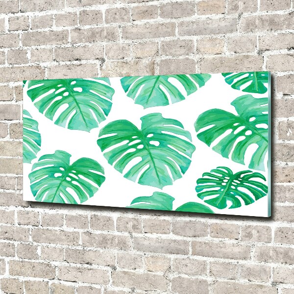 Glasbild Monstera