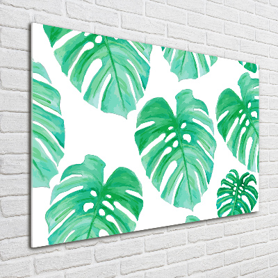 Glasbild Monstera