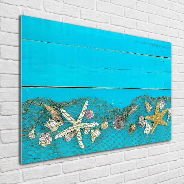 Bild auf glas Seesterne und Muscheln