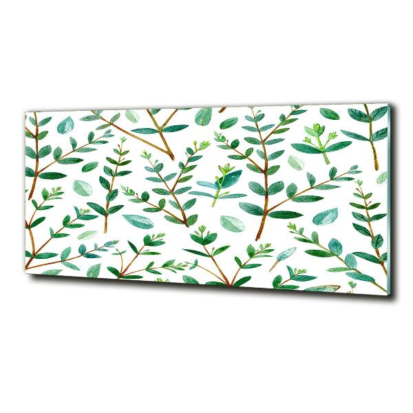 Foto glasbild Eukalyptus