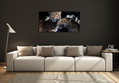 Foto glasbild Zwei Leoparden