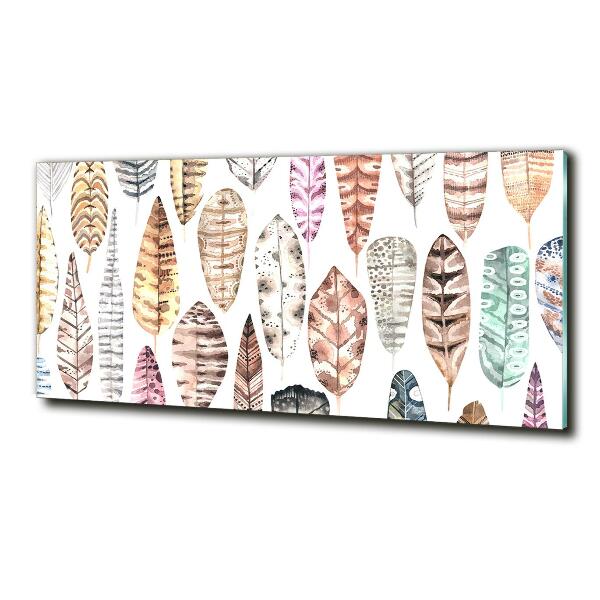 Glasbild Bunte Federn