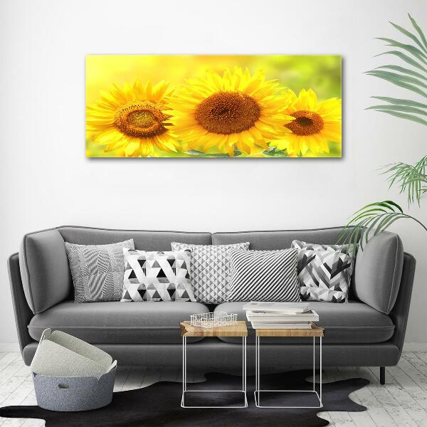 Foto glasbild Sonnenblumen