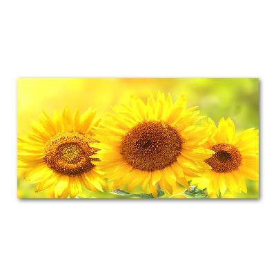 Foto glasbild Sonnenblumen