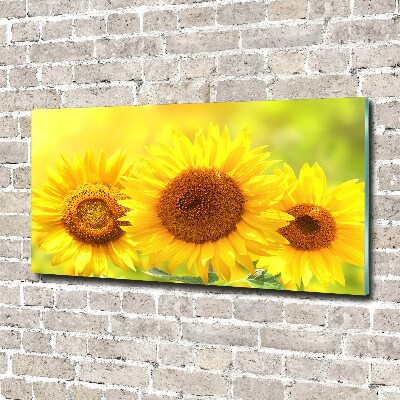 Foto glasbild Sonnenblumen