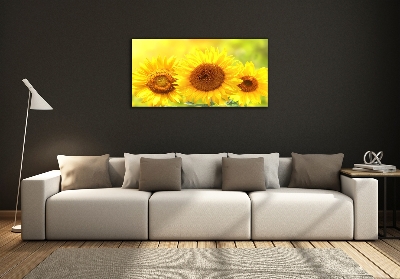 Foto glasbild Sonnenblumen