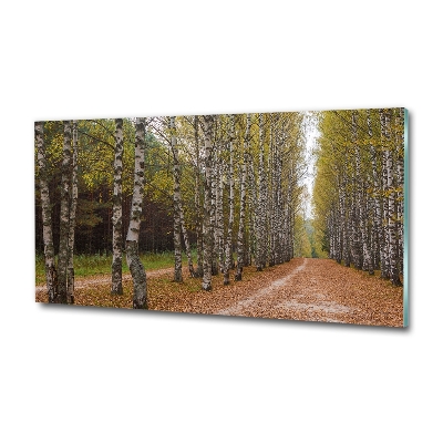 Bild auf glas Birkenallee