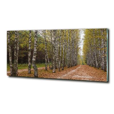 Bild auf glas Birkenallee