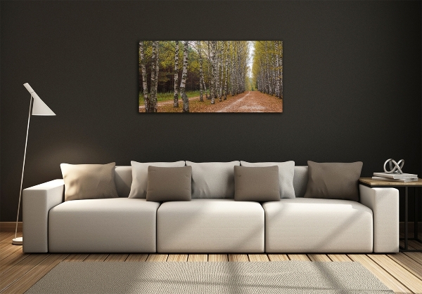 Bild auf glas Birkenallee