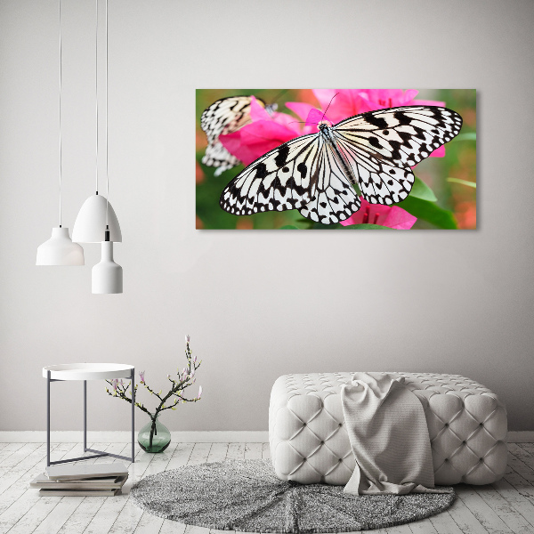 Foto glasbild Schmetterling auf einer Blume