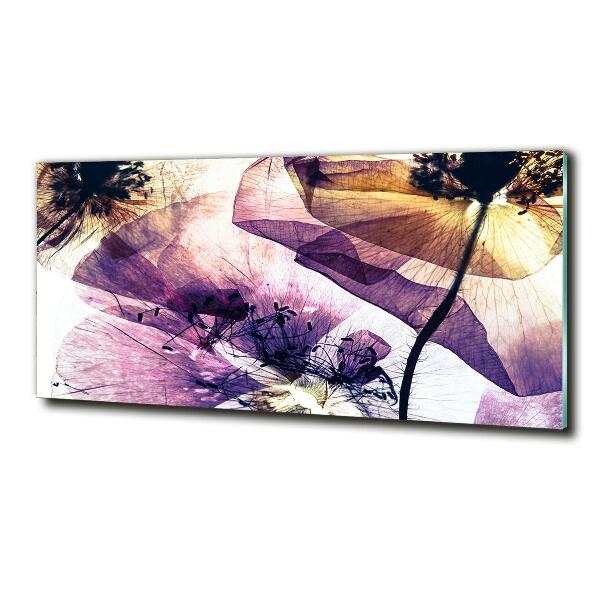 Glasbild Getrocknete Mohnblumen