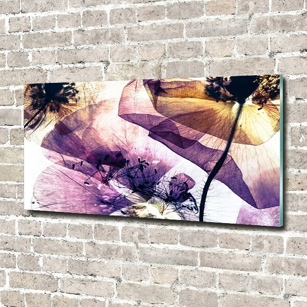 Glasbild Getrocknete Mohnblumen