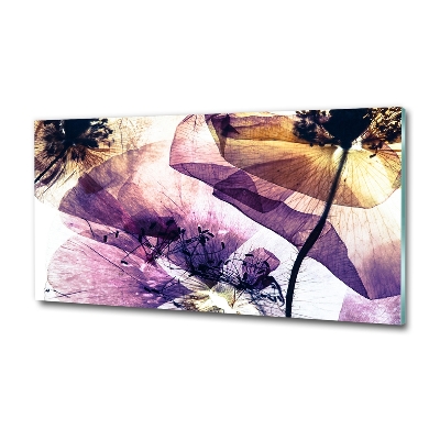 Glasbild Getrocknete Mohnblumen