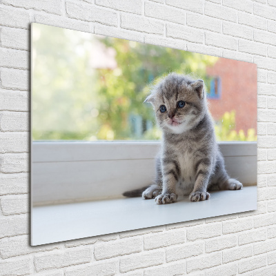 Glasbild Eine kleine Katze am Fenster