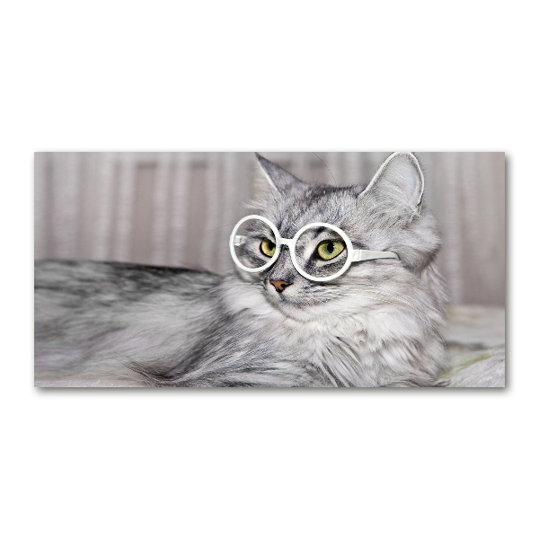 Glasbild Katze mit Brille